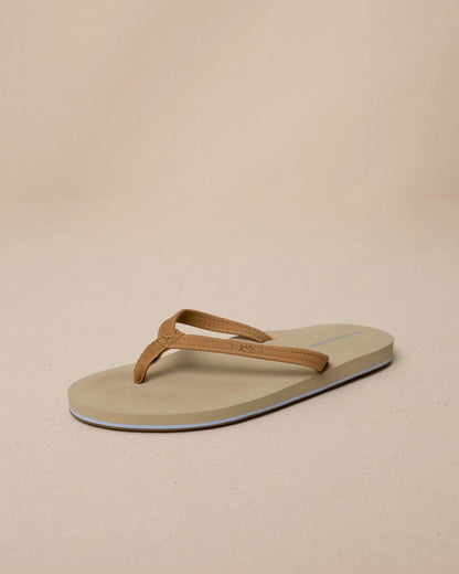 Seashore,5