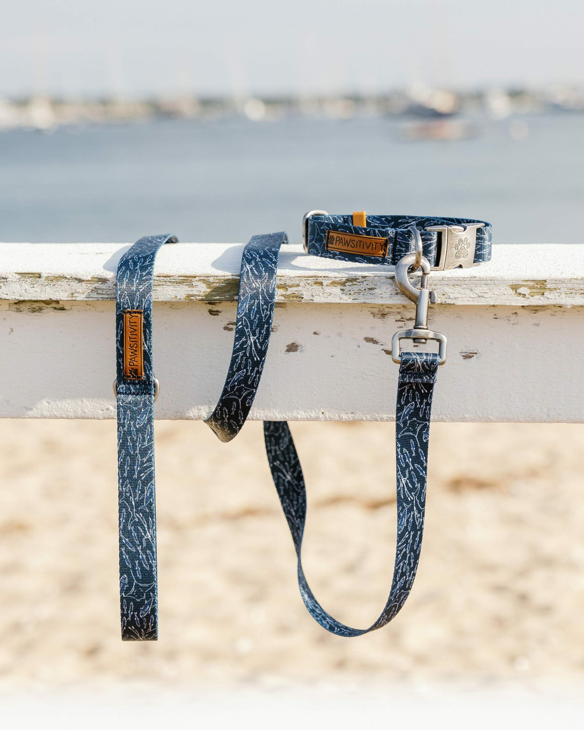 ST x Pawsitivity Schooling Fish Dog Collar | Southern Tide New